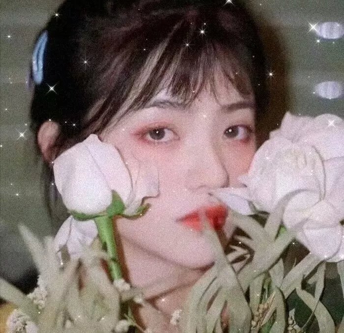 极地爱恋